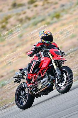 media/Apr-26-2025-2WTD (Sat) [[797c348bd3]]/C Group/240pm/